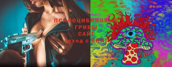 круглые Гусь-Хрустальный