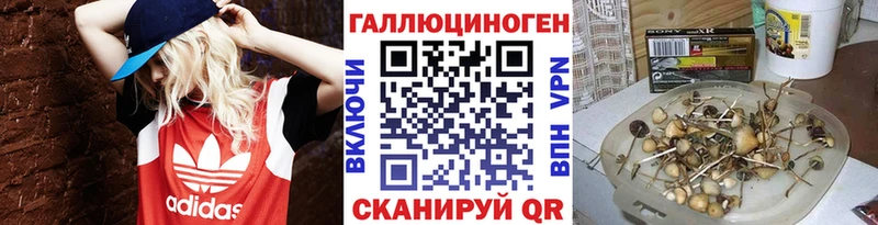 Купить  Карталы  Галлюциногенные грибы мицелий 